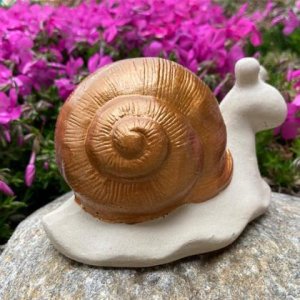 Schnecke