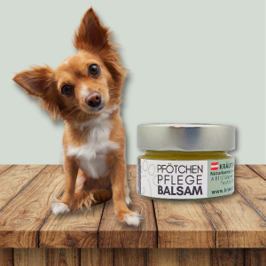 PFÖTCHEN-Pflegebalsam (Tierpflege)