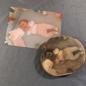 Bedruckte Bergahorn Baumscheibe