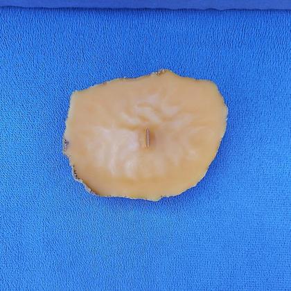 Bienenwachskerze, Sandkerze mit Holzdocht - Image 4