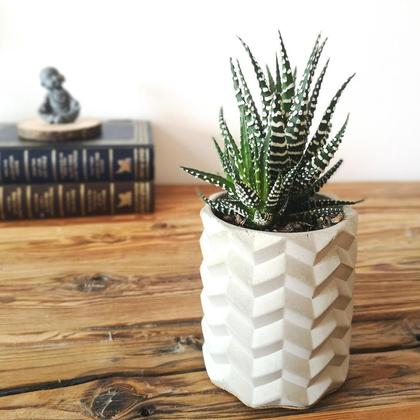 Betonblumentopf Helmut - Image 4