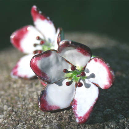 Ohrstecker Kirschblüte - Image 2