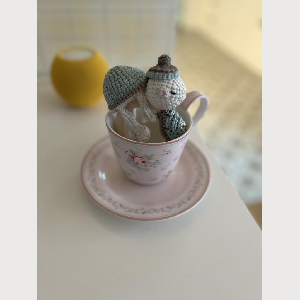 Babyrassel Mr. Turtle