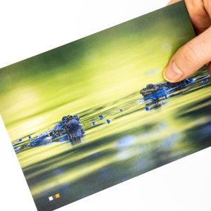 Österreich #21 / Postkarte