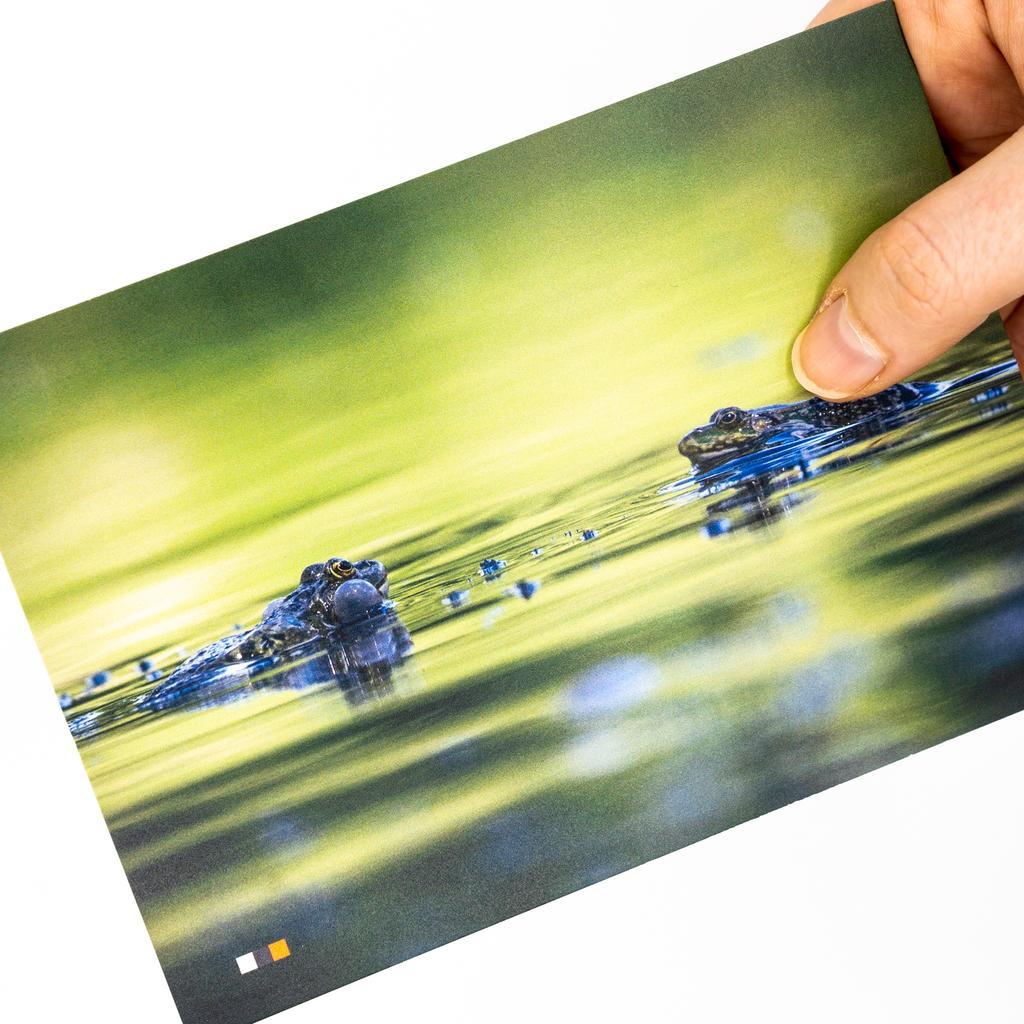 Österreich #21 / Postkarte