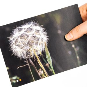 Albanien #17 / Postkarte