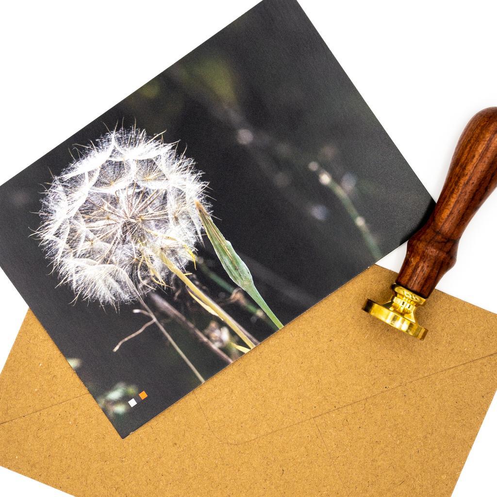 Albanien #17 / Postkarte - Image 3