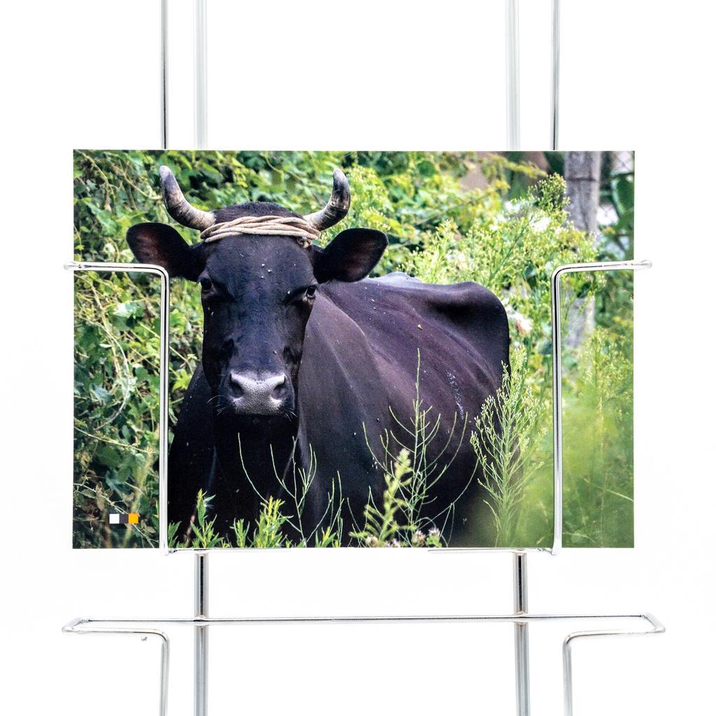 Albanien #12 / Postkarte - Image 2