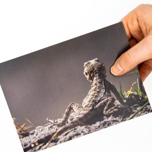 Georgien #20 / Postkarte