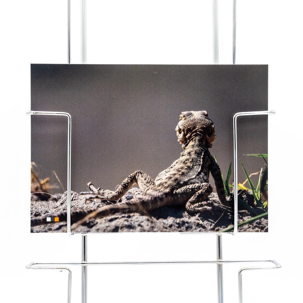 Georgien #20 / Postkarte - Image 2