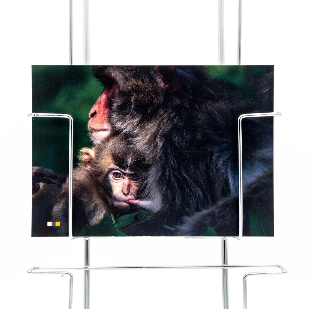 Österreich #23 / Postkarte - Image 2