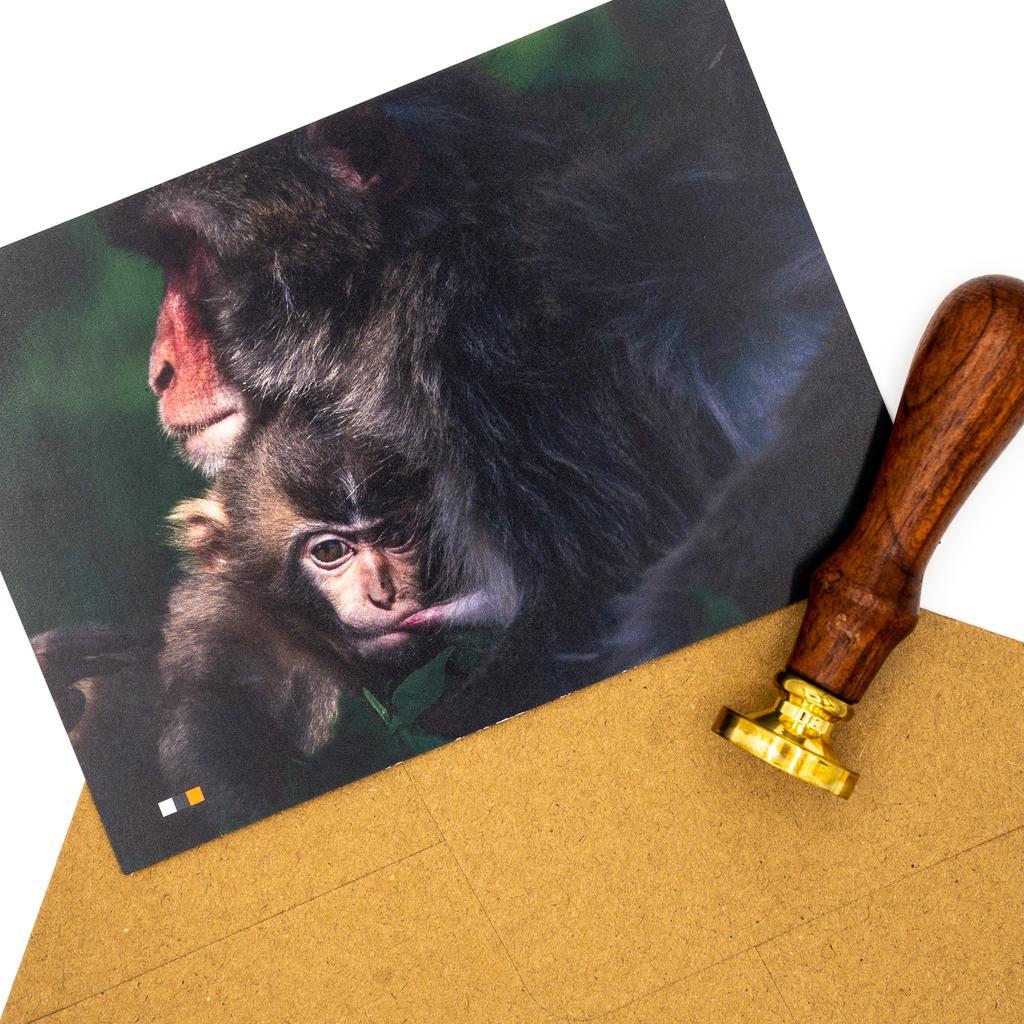 Österreich #23 / Postkarte - Image 3