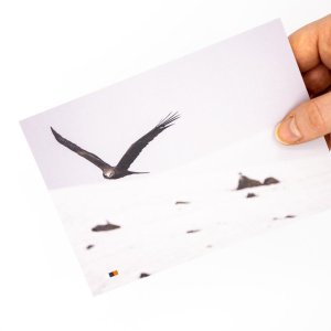 Türkei #01 / Postkarte