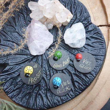 GLÜCKSTALER *LADYBUG* - Image 2