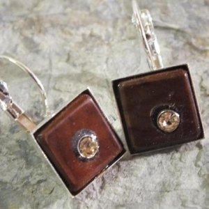 Ohrringe aus Zwetschke mit Strassstein in runder Fassung