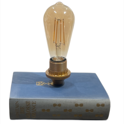 Bücherlampe- Große Chance