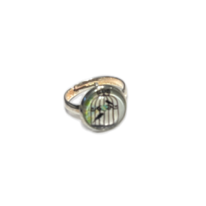 Ring Vogelkäfig . Grün und Blau