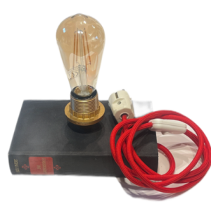 Bücherlampe -Die Zarnowska