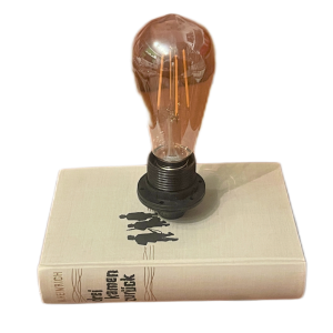 Bücherlampe- Drei kamen zurück