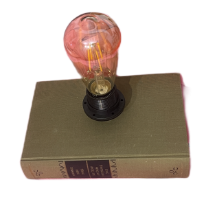 Bücherlampe- Der Stoff aus dem Träume sind