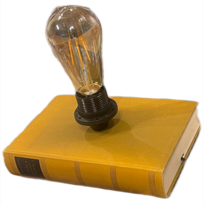 Bücherlampe - Liebe hat viele Namen