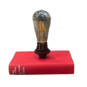 Bücherlampe – Zwiespalt der Gefühle