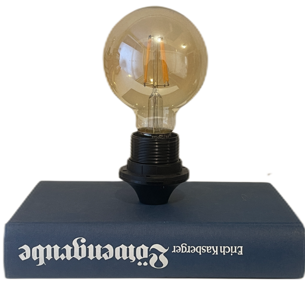 Bücherlampe - Löwengrube