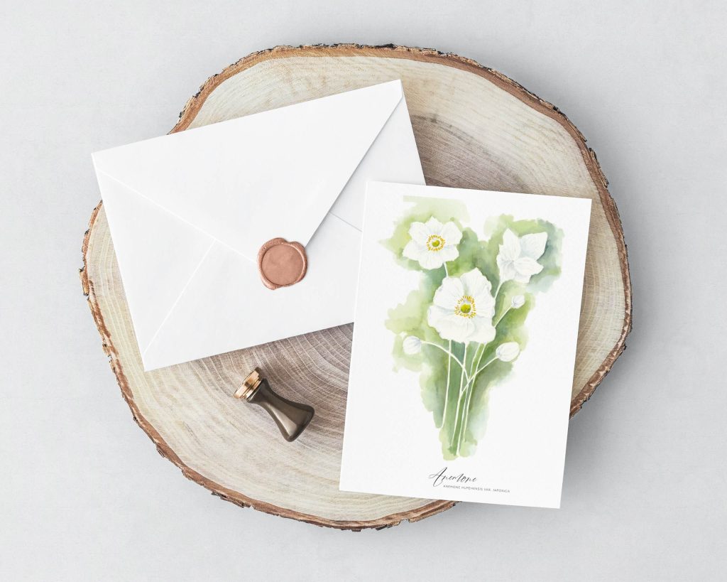 Zarte Grußkarte Anemone