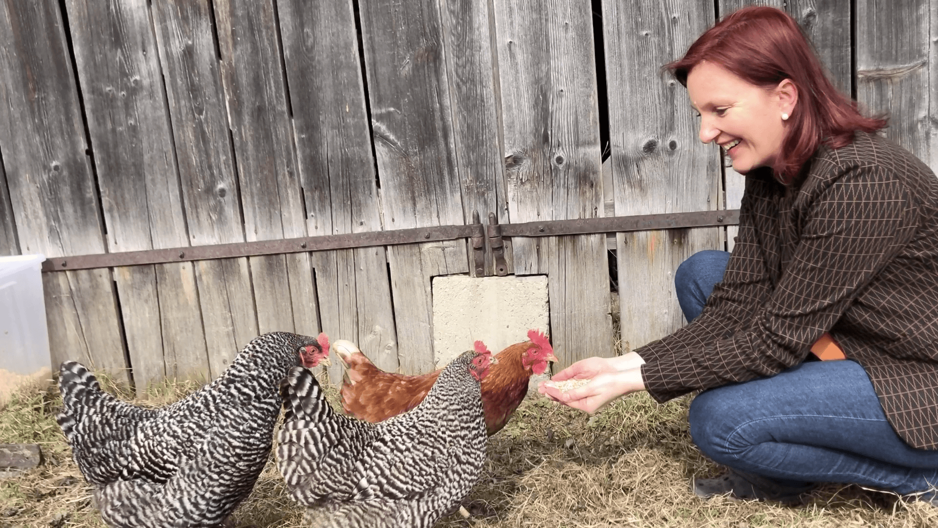 Eier Likör - Image 2