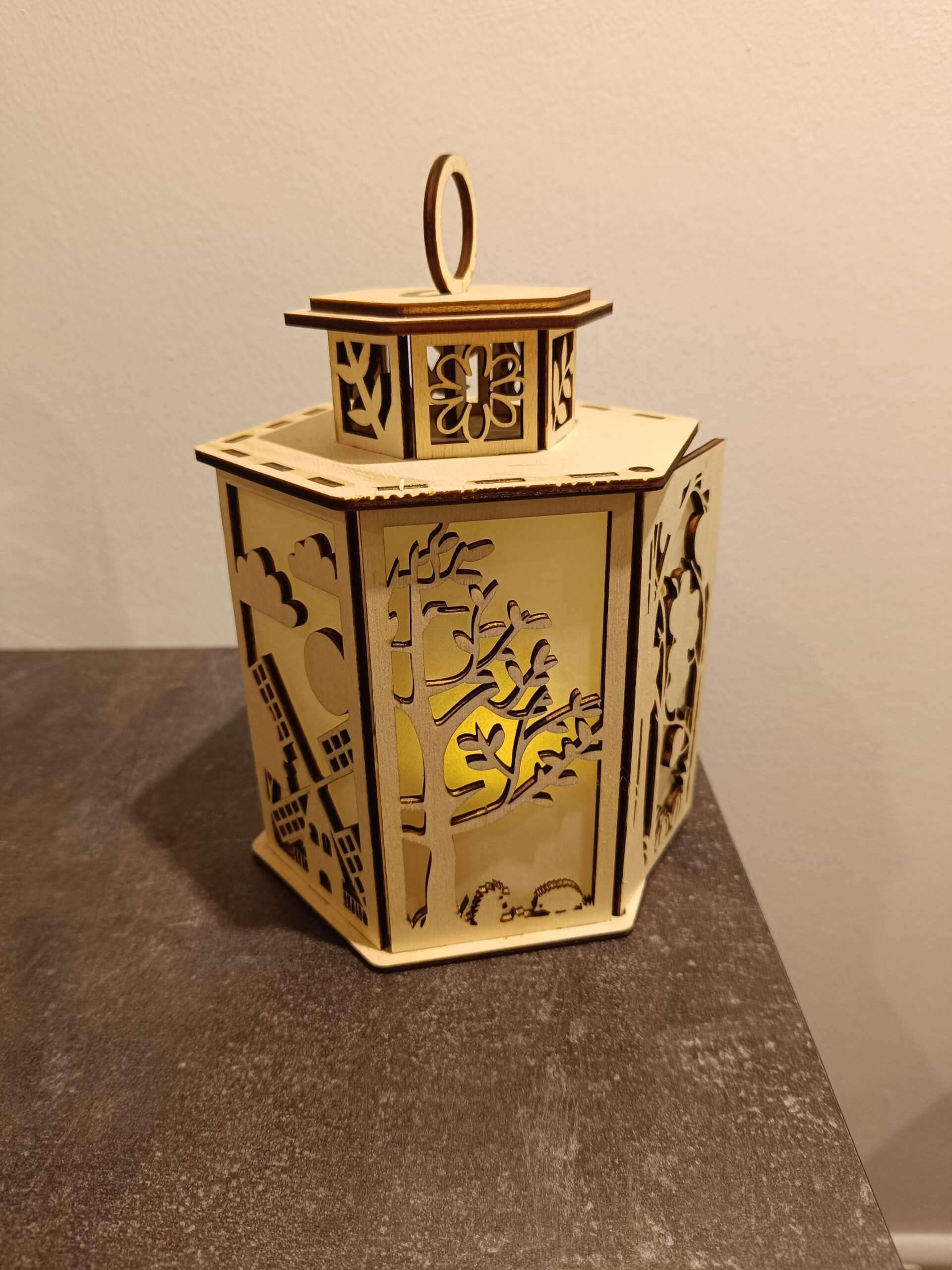 Laterne Herbst - Image 7