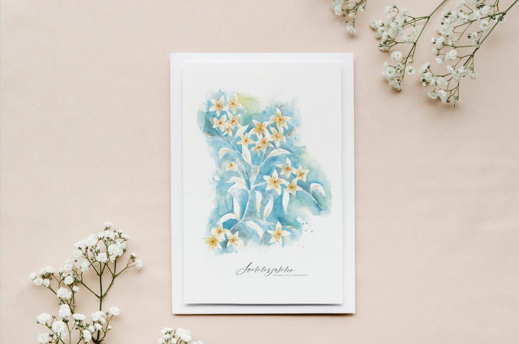 Zarte Grußkarte Sommerjasmin
