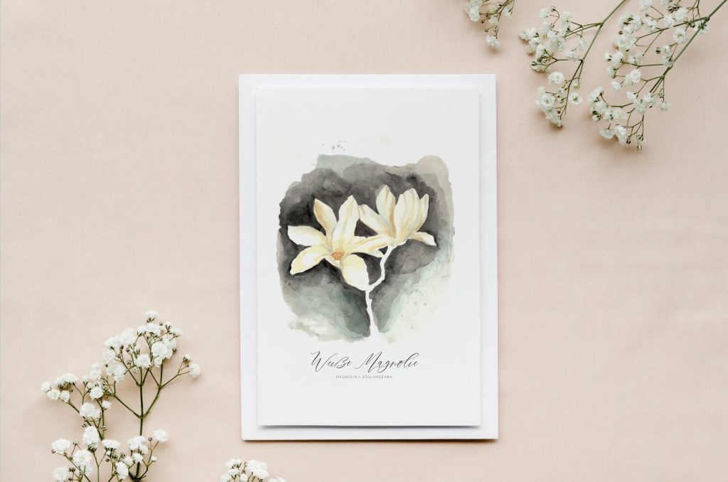 Zarte Grußkarte Weiße Magnolie