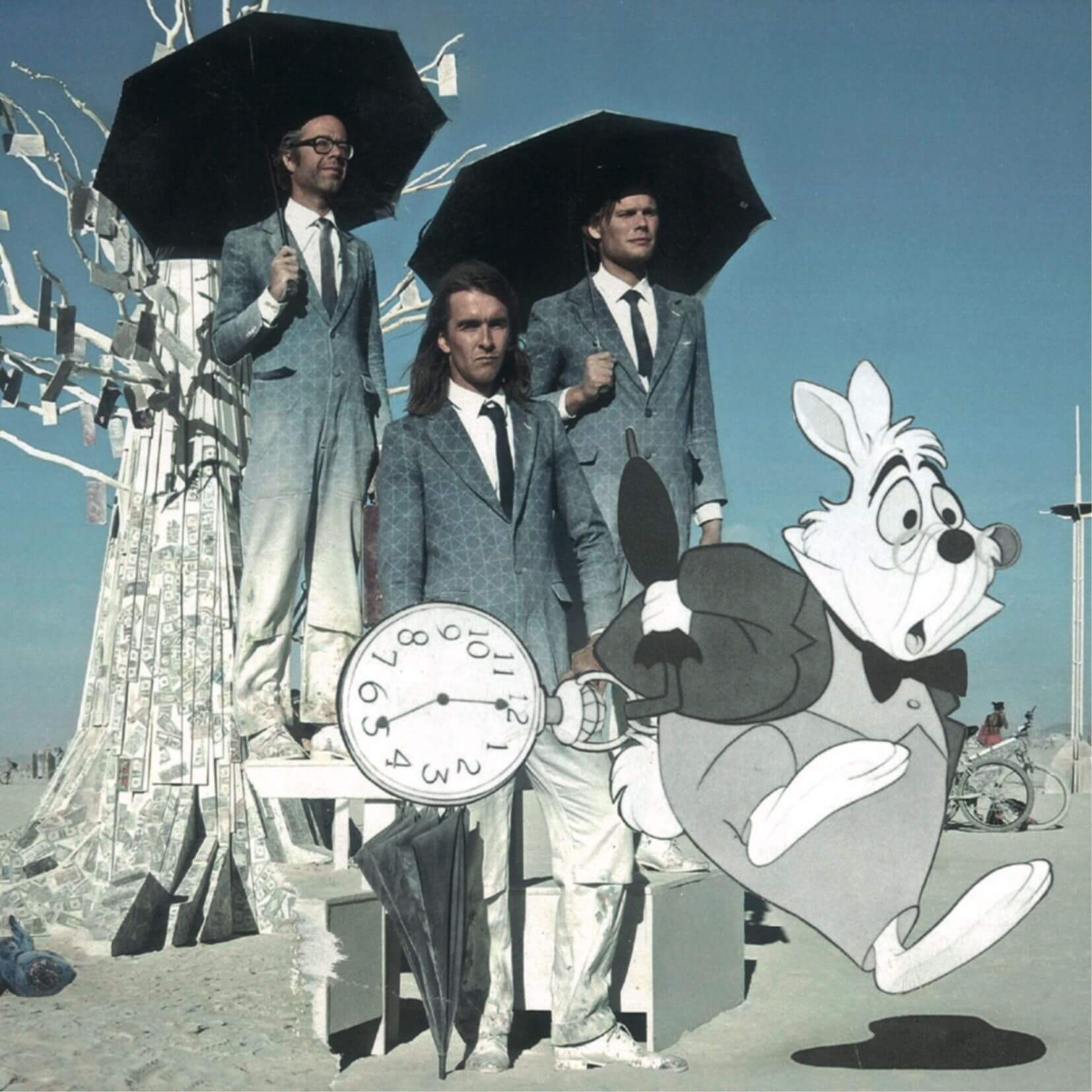 Blumenkohl am Horizont - Image 2