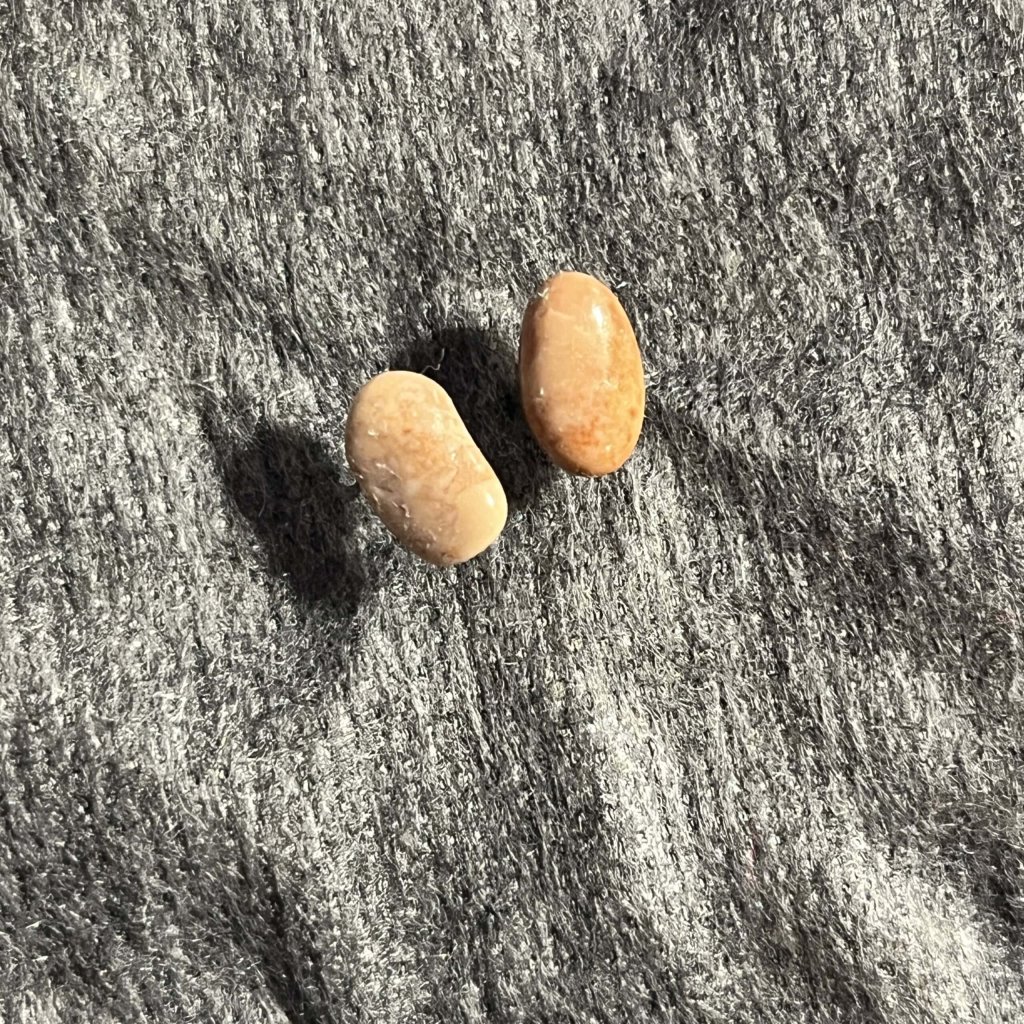 Kieselkunst Ohrstecker