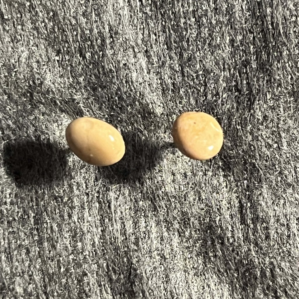 Kieselkunst Ohrstecker