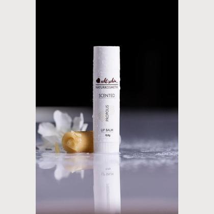 Lippenbalsam Propolis