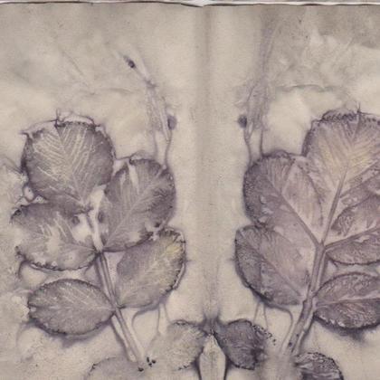 Eco Print- Grußkarten, 4 Motive - Image 2