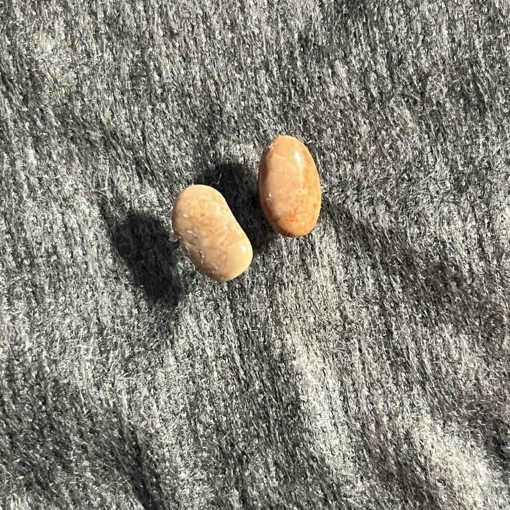 Kieselkunst Ohrstecker