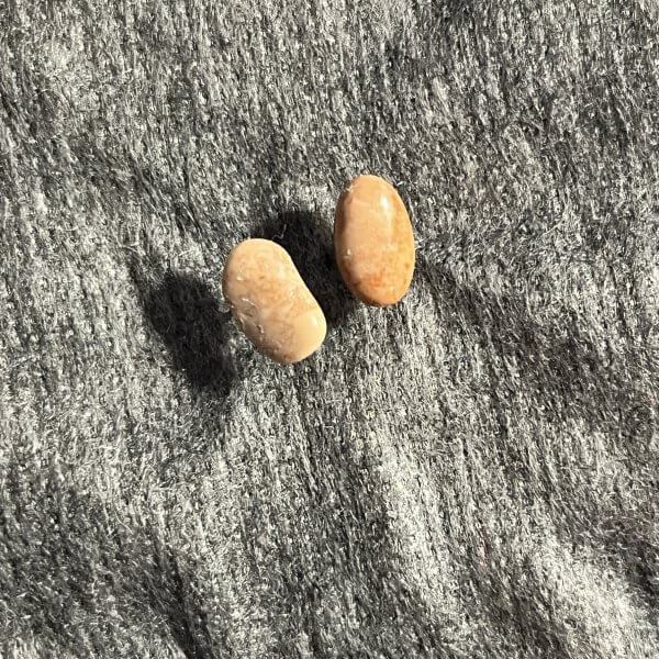 Kieselkunst Ohrstecker