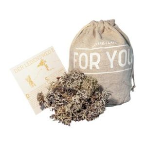 50 g konservierten Baumbart im FOR YOU JuCO-Geschenksbeutel