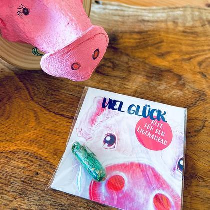 "Viel Glück" GRÜMI inkl. Blühanleitung