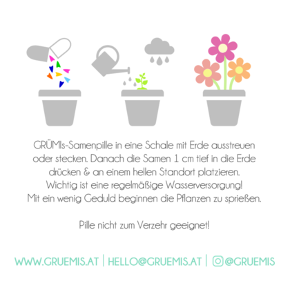 "Frida, die faule Gärtnerin" GRÜMI inkl. Blühanleitung - Image 4