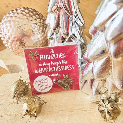 "A Pflänzchen a day keeps the Weihnachtsstress away" GRÜMI inkl. Blühanleitung