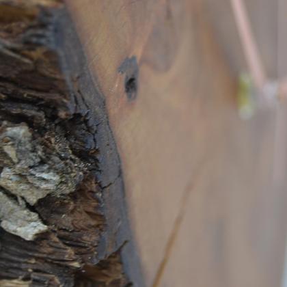 Holz Wanduhr 26x22.5 cm Birne Baumscheibenuhr Unikat Geschenk - Image 4