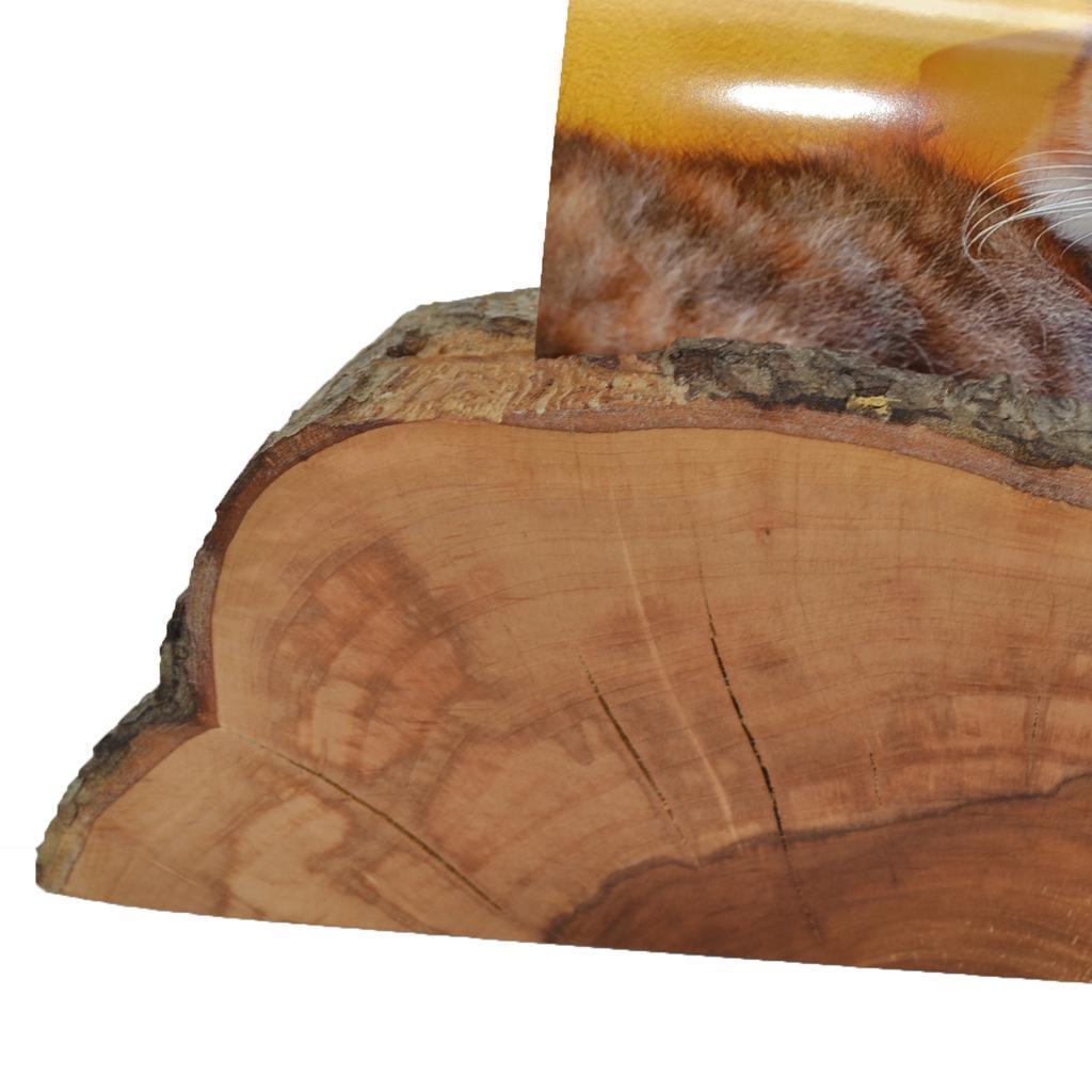 Holz Fotohalter Fotoständer Bilderhalter 28x9 Apfel Holzdeko Unikat Handarbeit - Image 2