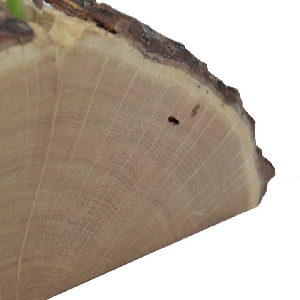 Holzvase Vase 25x11 cm Edelkastanie Blumenvase Vase Holzdekoration Geschenk - Image 4