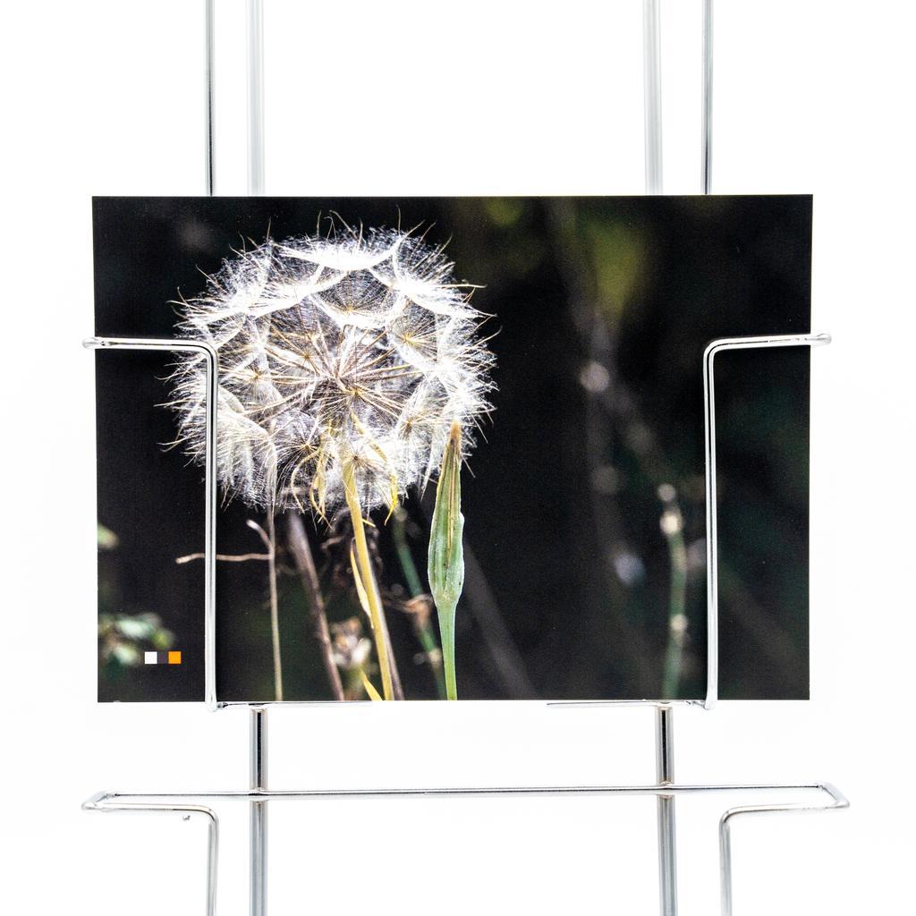 Albanien #17 / Postkarte - Image 2