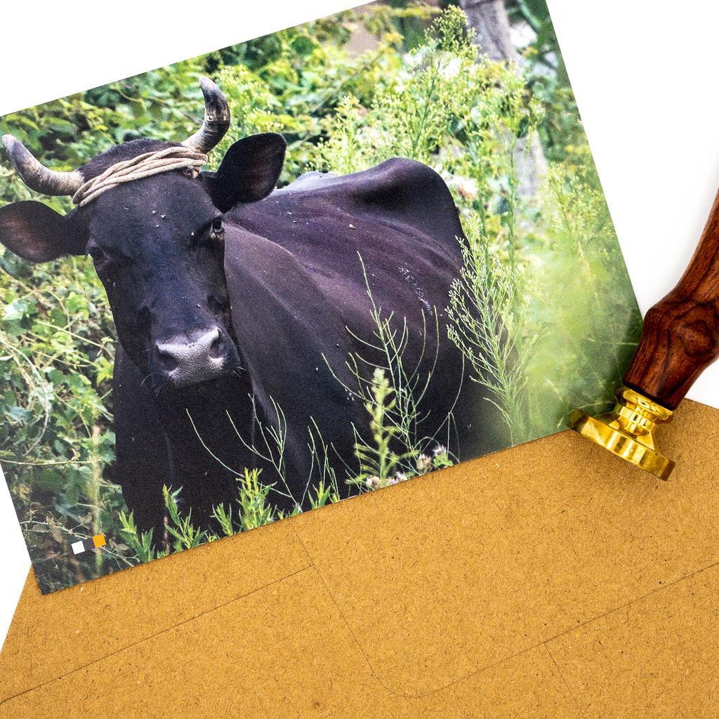 Albanien #12 / Postkarte - Image 3