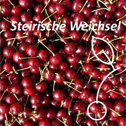 Steirische Weichsel - Image 2