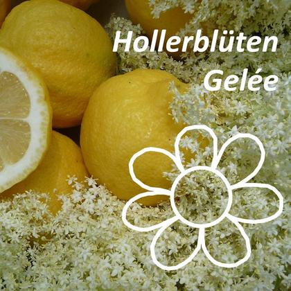 Hollerblütengelée - Image 2